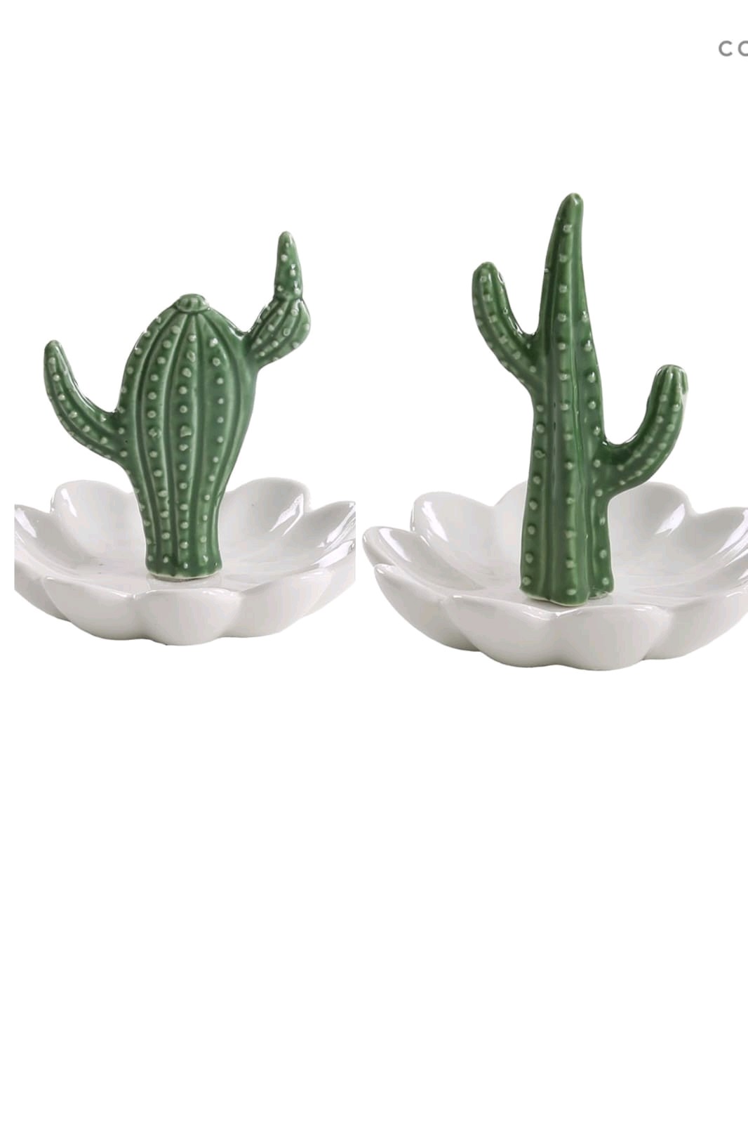 Cactus bandeja en flor  - OBED Home & Deco San Rafael